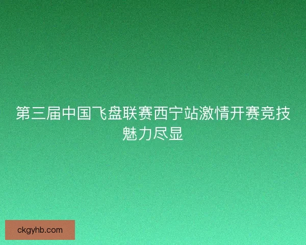 第三届中国飞盘联赛西宁站激情开赛竞技魅力尽显